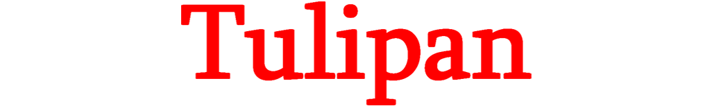 Logotyp för Tulipan